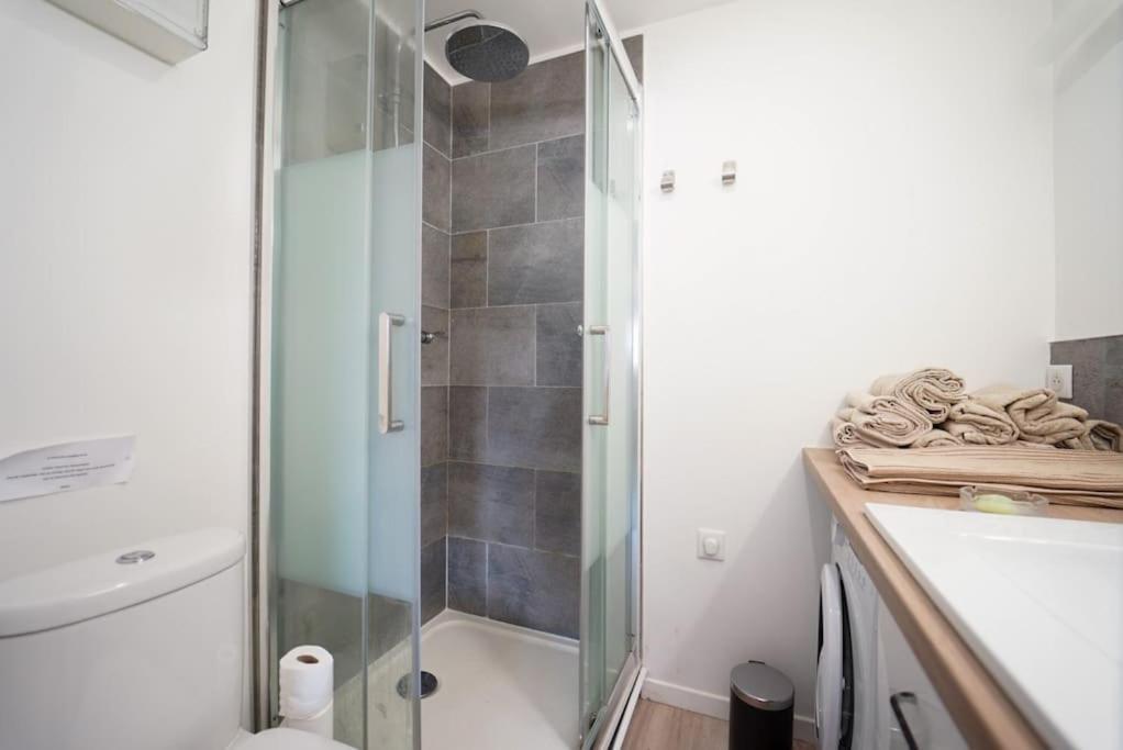 L'Appartement Lafayette 阿讷西 外观 照片